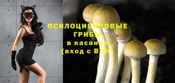 ECSTASY Алзамай