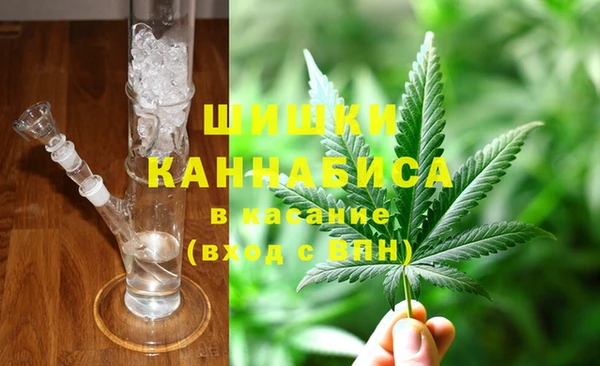 индика Алексеевка